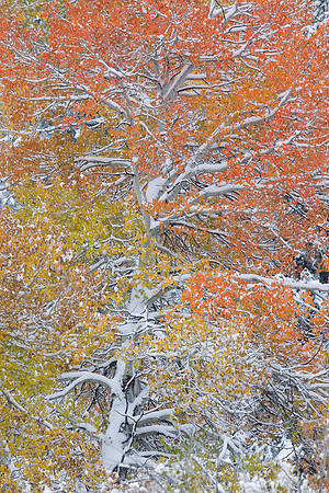 GTNP00154-Grand-Tetons-National-Park