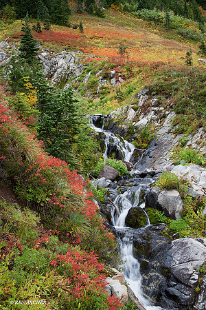 MRNP01268 Mount Rainier National Park