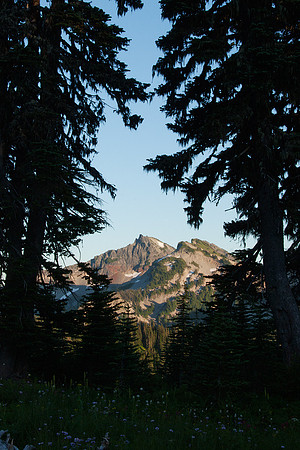 MRNP00267-Mount-Rainier-NP