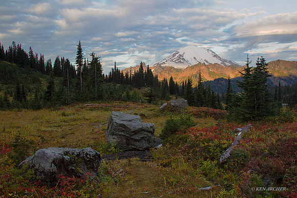 MRNP02989 - Mount Rainier National Park