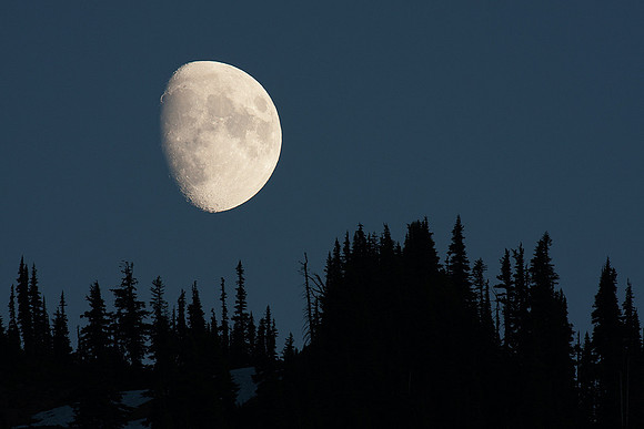 MRNP00327-Mount-Rainier-NP