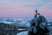 YSWR01877 - Yellowstone Winter