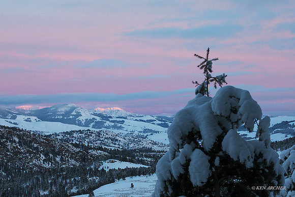 YSWR01877 - Yellowstone Winter