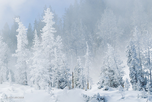 YSWR00991 - Yellowstone in Winter
