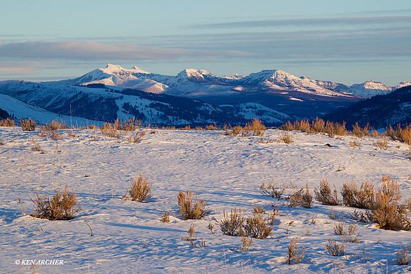 YSWR01086 - Yellowstone in Winter