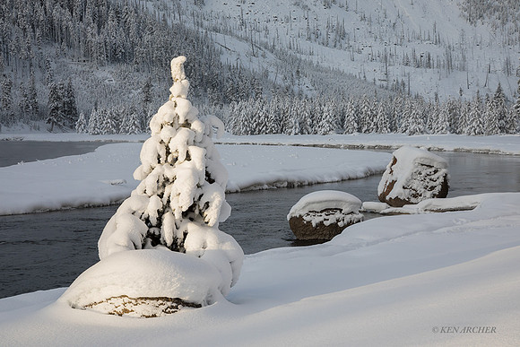 YSWR01916 - Yellowstone Winter