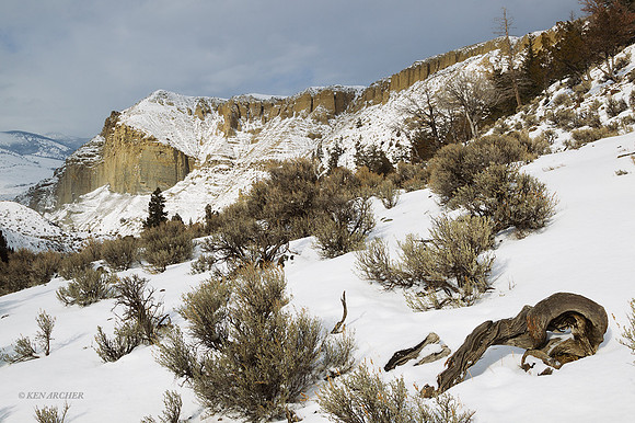 YSWR00779 - Yellowstone in Winter