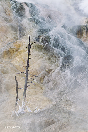 YSWR01052 Yellowstone in Winter