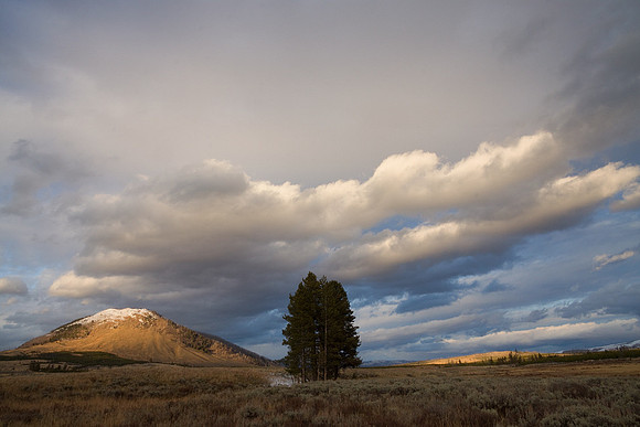 YSNP00489-Yellowstone-NP
