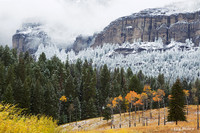 Yellowstone National Park - YSNP00654
