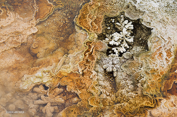 YSWR00752 - Yellowstone in Winter