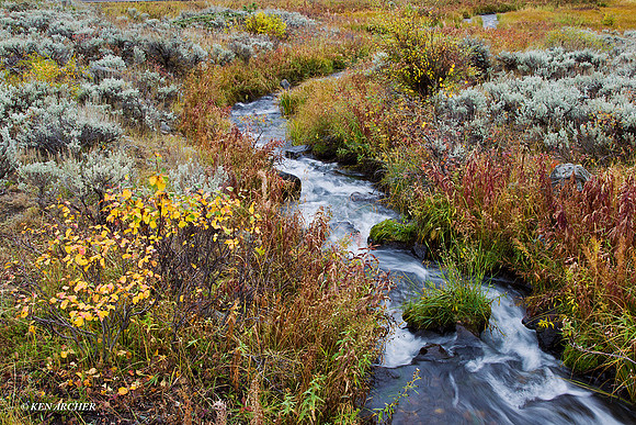YSNP00679 Yellowstone National Park