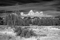 GTNP00533bw - Grand Tetons National Park