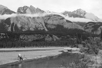 EK00796bw - Rocky Mountain Bull Elk