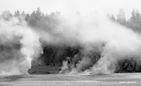 YSWR01944 - Yellowstone Winter B & W