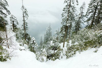 CHMW00006 - Mt. Wawushan Landscape
