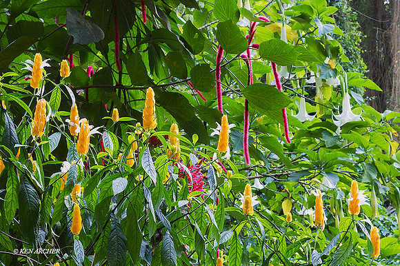 TTLS00231 Trinidad & Tobago