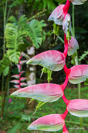 TTLS00254 - Trinidad & Tobago