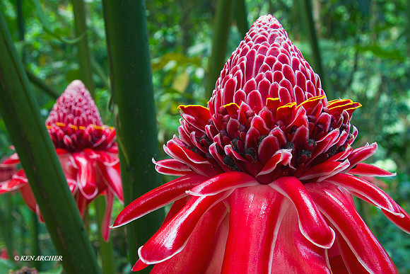 TTLS00093 Trinidad & Tobago