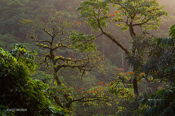 TTLS00185 Trinidad & Tobago