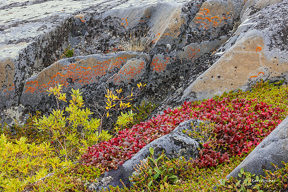 CHLS00248 - Hudson Bay Landscape