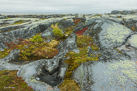 CHLS00227 - Hudson Bay Landscape