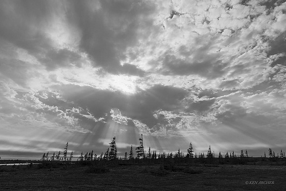 CHLS00127 - Hudson Bay Landscape
