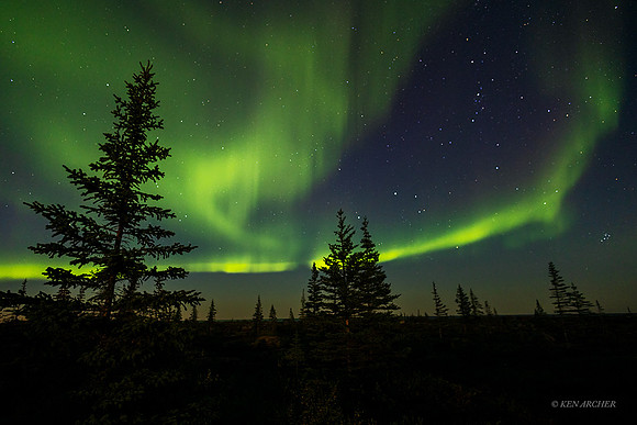 CHAB00107 - Aurora Borealis