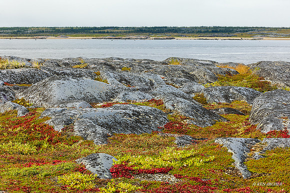 CHLS00289 - Hudson Bay Landscape
