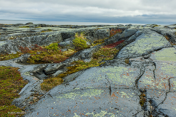 CHLS00274 - Hudson Bay Landscape