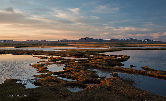 NMLS01635 - Seward Peninsula