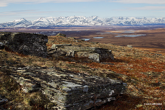 Seward Peninsula, Alaska - NMLS00471