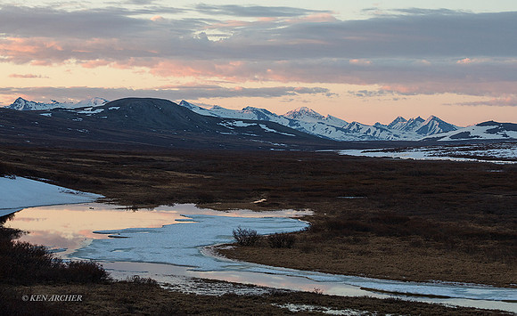 NMLS01537 - Seward Peninsula