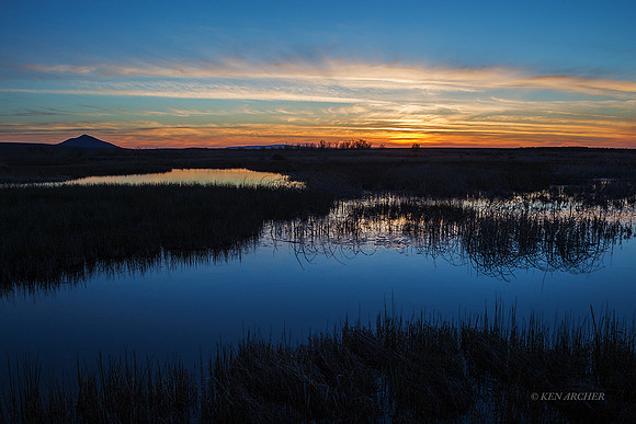 ORLS00023 - Oregon Landscape