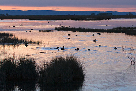 MLHR00029-Malhuer-NWR