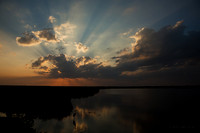 FLLS00041 - Florida Landscape