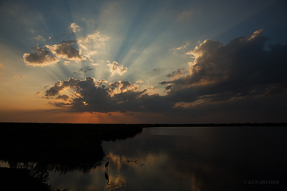 FLLS00041 - Florida Landscape