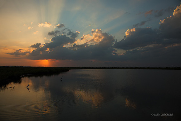 FLLS00055 - Florida Landscape