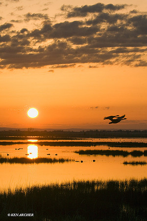 MASE00068 Marsh Wetlands