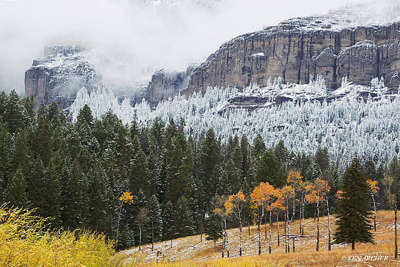 Yellowstone National Park - YSNP00654