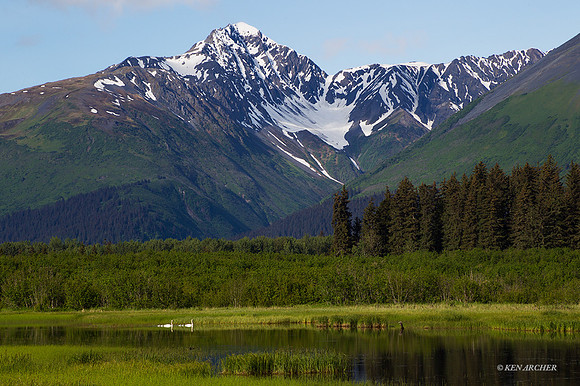 SDLS00271 - Seward Landscape