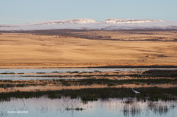 MLHR00332 - Malheur NWR