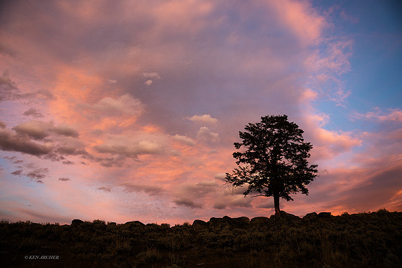 YSNP01367 - Yellowstone National Park