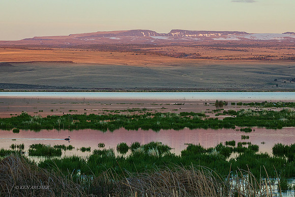 MASE03866 - Marsh Wetland