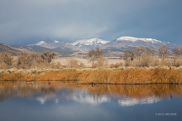 COLS00008 - Colorado Landscape