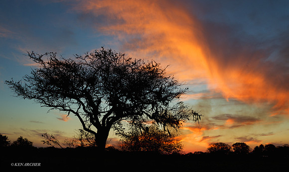 Ibera Marshes - ARLS00040