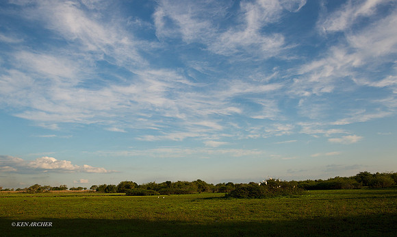 Ibera Marshes - ARLS00014