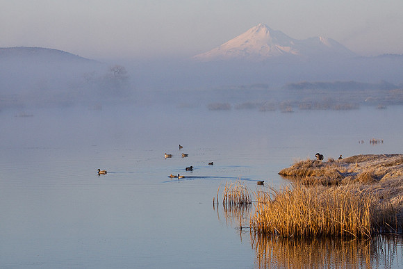 MASE00105-Marsh-Wetlands